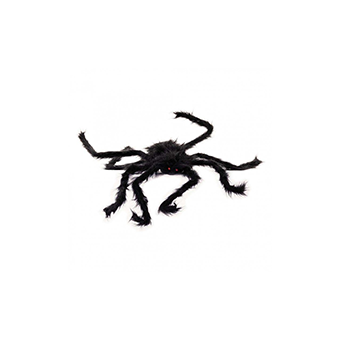 Διακοσμητική αράχνη, Fun Fashion