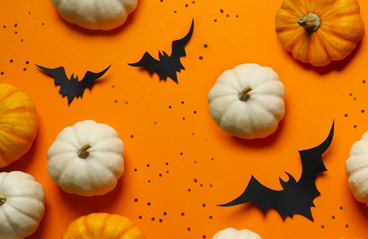 Halloween: Spooky vibes and endless fun